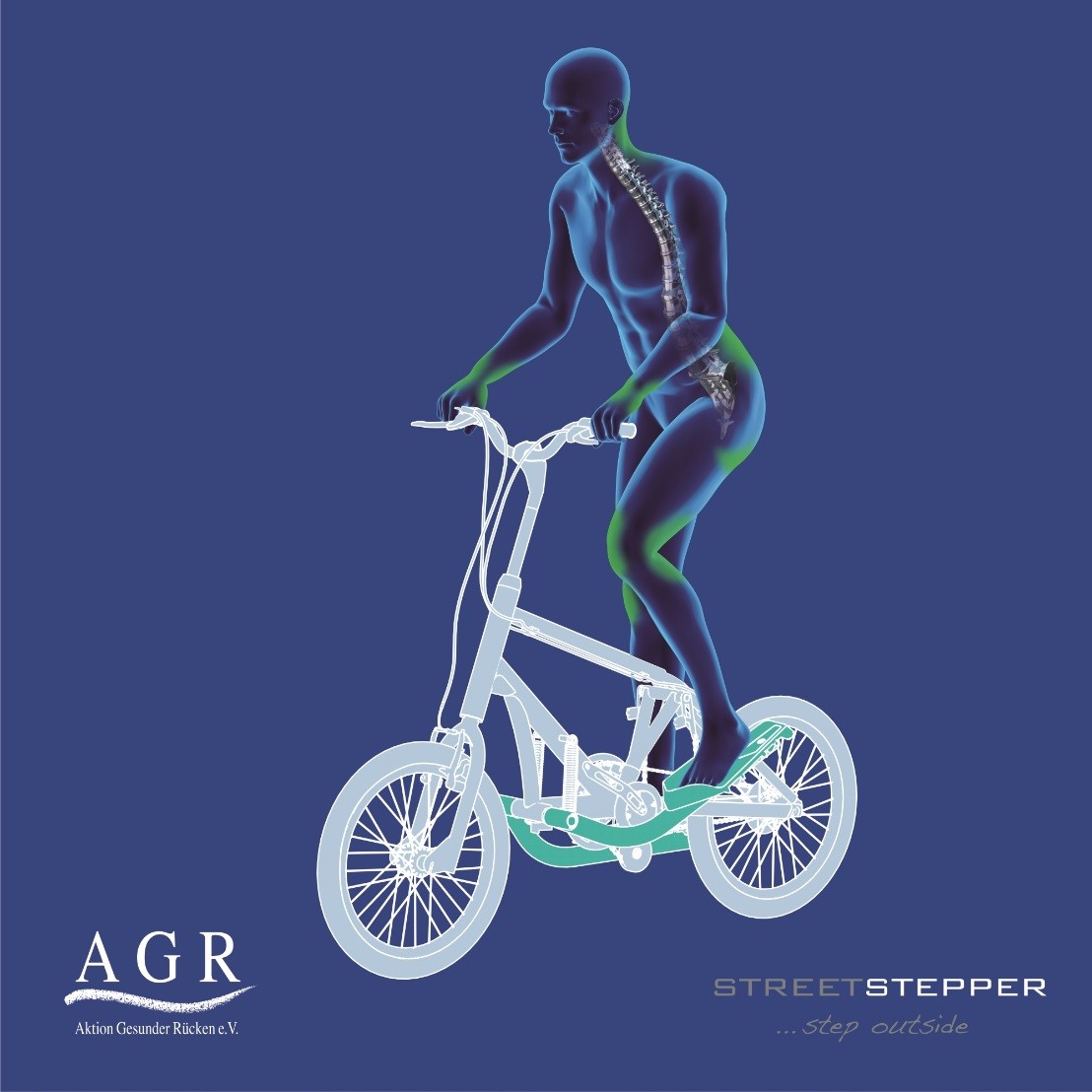 stepper-agr